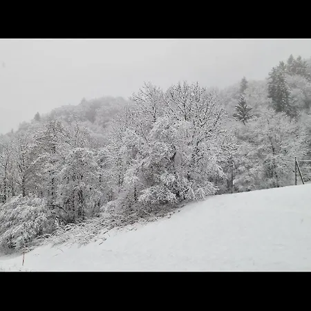 Lejlighed Pied Des Pistes, Bernex, F1 Bis *