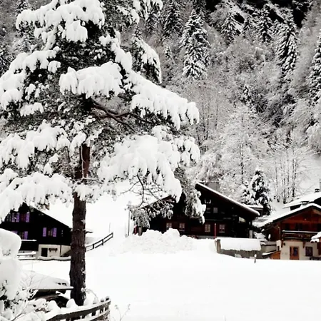 Pied Des Pistes, Bernex, F1 Bis Bernex